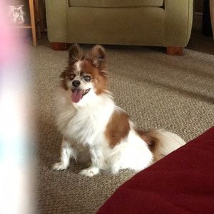 Meet your Posher, Tracy